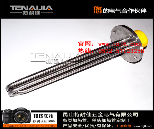 電蒸汽鍋爐電加熱管