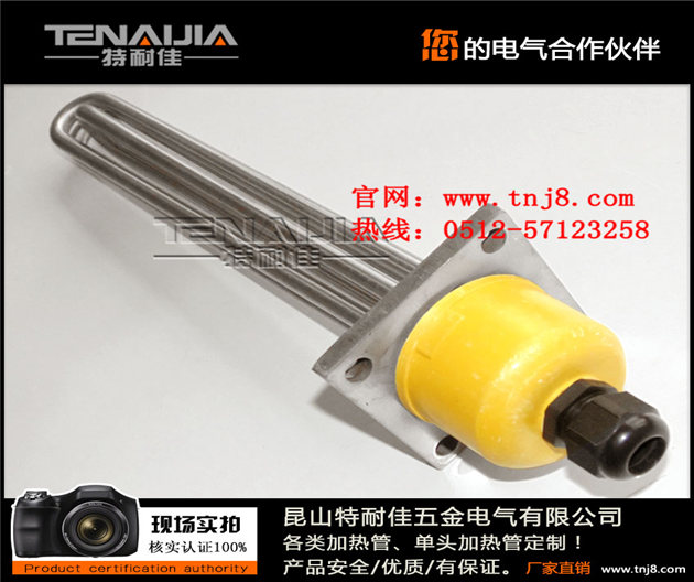 電蒸汽鍋爐電加熱管