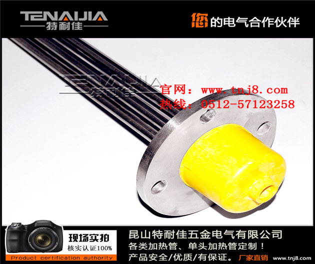 電蒸汽鍋爐電加熱管