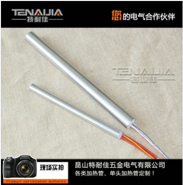 測(cè)溫220v電發(fā)熱管